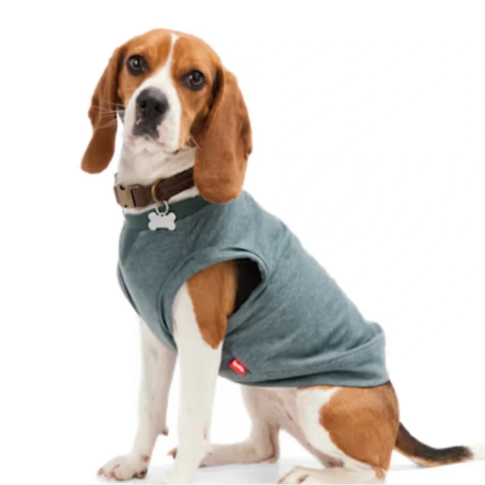 NEW Weekend Wanderer Dog tee shirt M